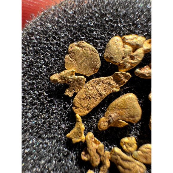 California Gold Nuggets in Display Case - 1.90 grams - Picture 3 of 7